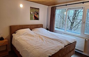 Cosy Chalet in Odeigne with Hot Tub