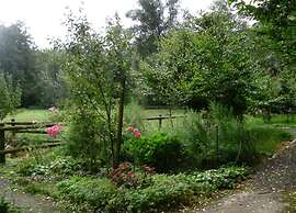 Cozy Holiday Home in Wietzendorf near Forest