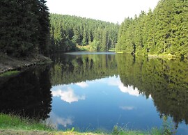 Ferienwohnung in Wildemann