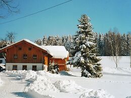 Lovely Holiday Home in Viechtach near Forest