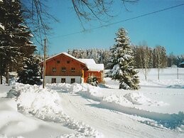 Lovely Holiday Home in Viechtach near Forest