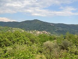 Beautiful Cottage in Pescia with Hot Tub