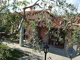 House in Pistoia Countryside