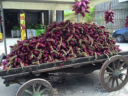 Belvilla by Oyo Bottone