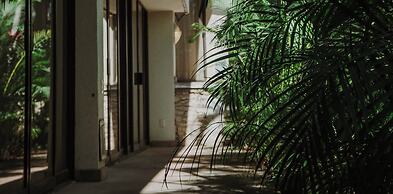 HS HOTSSON Hotel Tampico