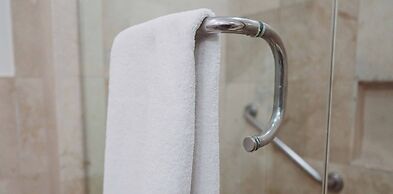 HS HOTSSON Hotel Tampico