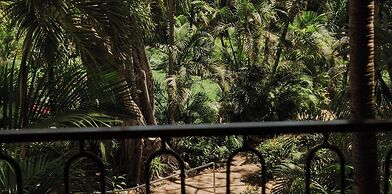 HS HOTSSON Hotel Tampico