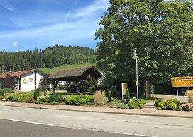 Comfortable Apartment in Baiersbronn With Balcony