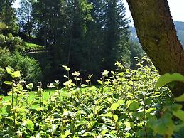 Comfortable Apartment in Baiersbronn With Balcony