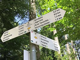 Comfortable Apartment in Baiersbronn With Balcony