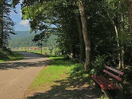 Comfortable Apartment in Baiersbronn With Balcony