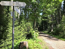 Comfortable Apartment in Baiersbronn With Balcony