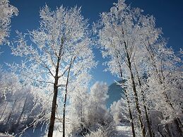 Apartment in Hollersbach With Sauna Near ski Area