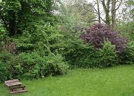 Apartment in Weser Uplands With Garden