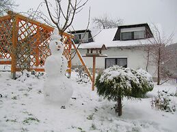 Holiday Home with Garden & Terrace near Rennsteig in Thuringian Forest