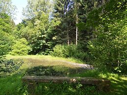 Cosy Holiday Home in Noirefontaine With Garden