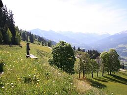 Sunlit Chalet near Ski Area in Hopfgarten im Brixental
