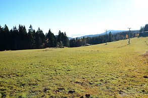 Beautiful Holiday Home in Bohemian Near Forest