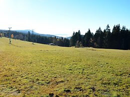Beautiful Holiday Home in Bohemian Near Forest