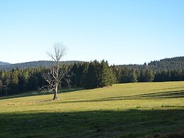 Beautiful Holiday Home in Bohemian Near Forest