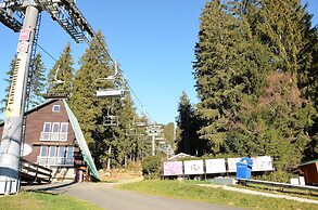 Beautiful Holiday Home in Bohemian Near Forest
