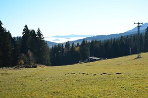 Beautiful Holiday Home in Bohemian Near Forest