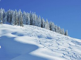 Apartment Near the Maria Alm ski Area