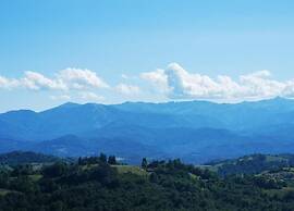 Hillview Langhe Apartment