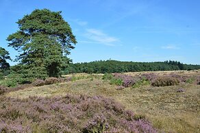 Chalet in Veluwe Near Sauna Drome