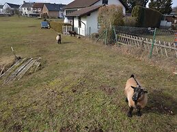 Modern Apartment in Eifel Near Forest
