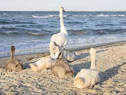 Apartment in Temannsdorf With Garden