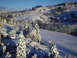 Cozy Apartment in Ore Mountains With Balcony