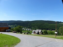 Cozy Apartment in Ore Mountains With Balcony
