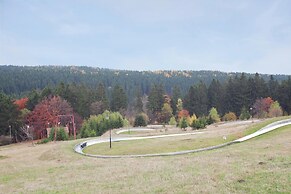 Holiday Home in Altenfeld With Terrace