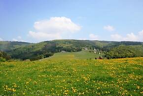 Apartment in Willingen Near Ski Slopes