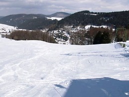 Apartment Near Willingen With Private Terrace