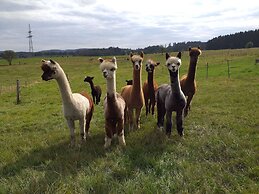 Apartment on an Alpaca Farm in Kierspe