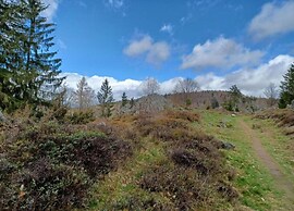 Holiday Home With Garden Near the Forest