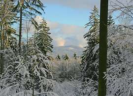 Holiday Home With Garden Near the Forest