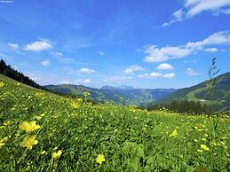 Spacious Chalet near Ski Area in Saalbach-Hinterglemm