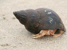 Holiday Home in De Haan