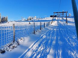 Alluring Holiday Home in Waimes With Garden