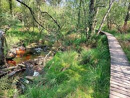 Alluring Holiday Home in Waimes With Garden