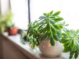 Welcoming Apartment in Niedereschach OT Kappel near Lake