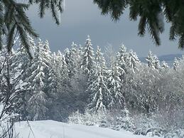 Well Kept Gite, Short Distance From the River and Forest