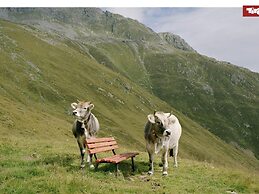 Apartment in Kirchdorf am Wilden Kaiser