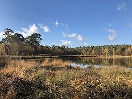 Grandeur Farmhouse in Dwingeloo at a National Park