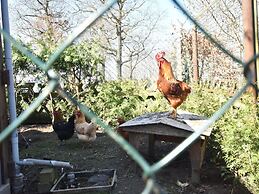 Cozy Apartment in Rerik near Sea