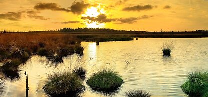 Renovated Farmhouse Quiet Location With Garden, Terrace, Ideal for Wal