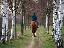 Renovated Farmhouse Quiet Location With Garden, Terrace, Ideal for Wal